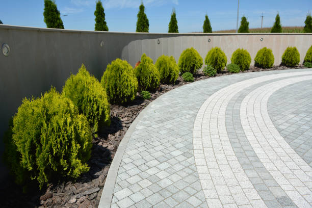 Best Residential Driveway Paver Services  in Carolina Forest, SC